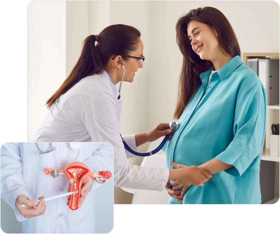 Health_Packages_icon